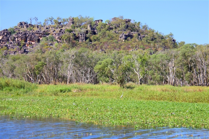 _800Mt Borradaile - Cooper Creek_5654_m